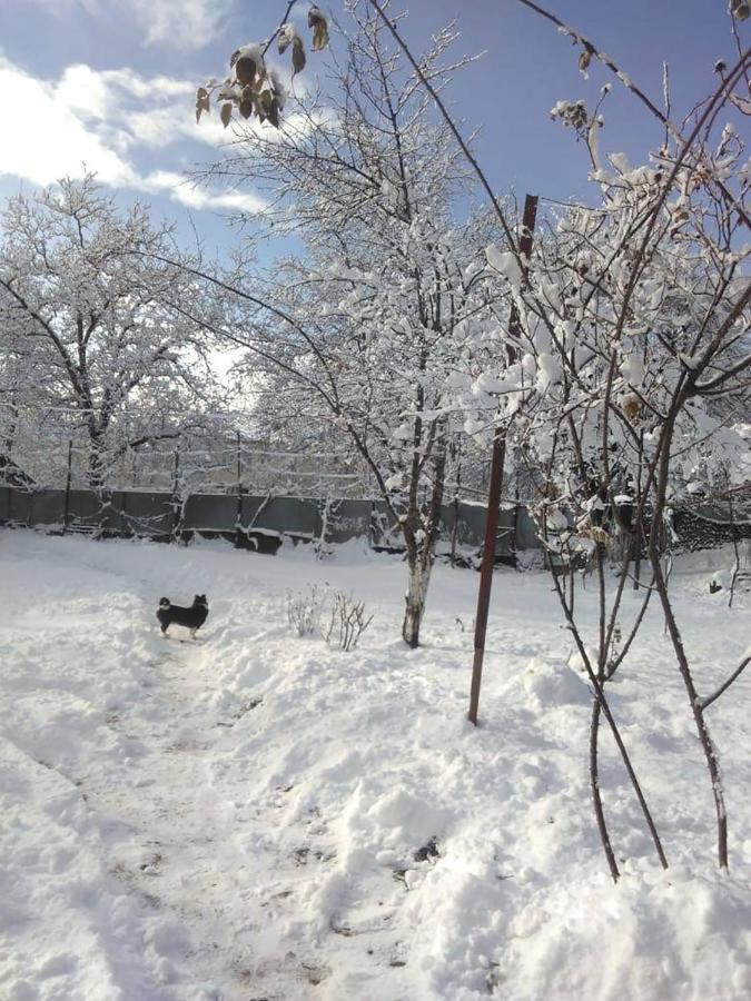 9 Plus - Orbeli Exterior foto
